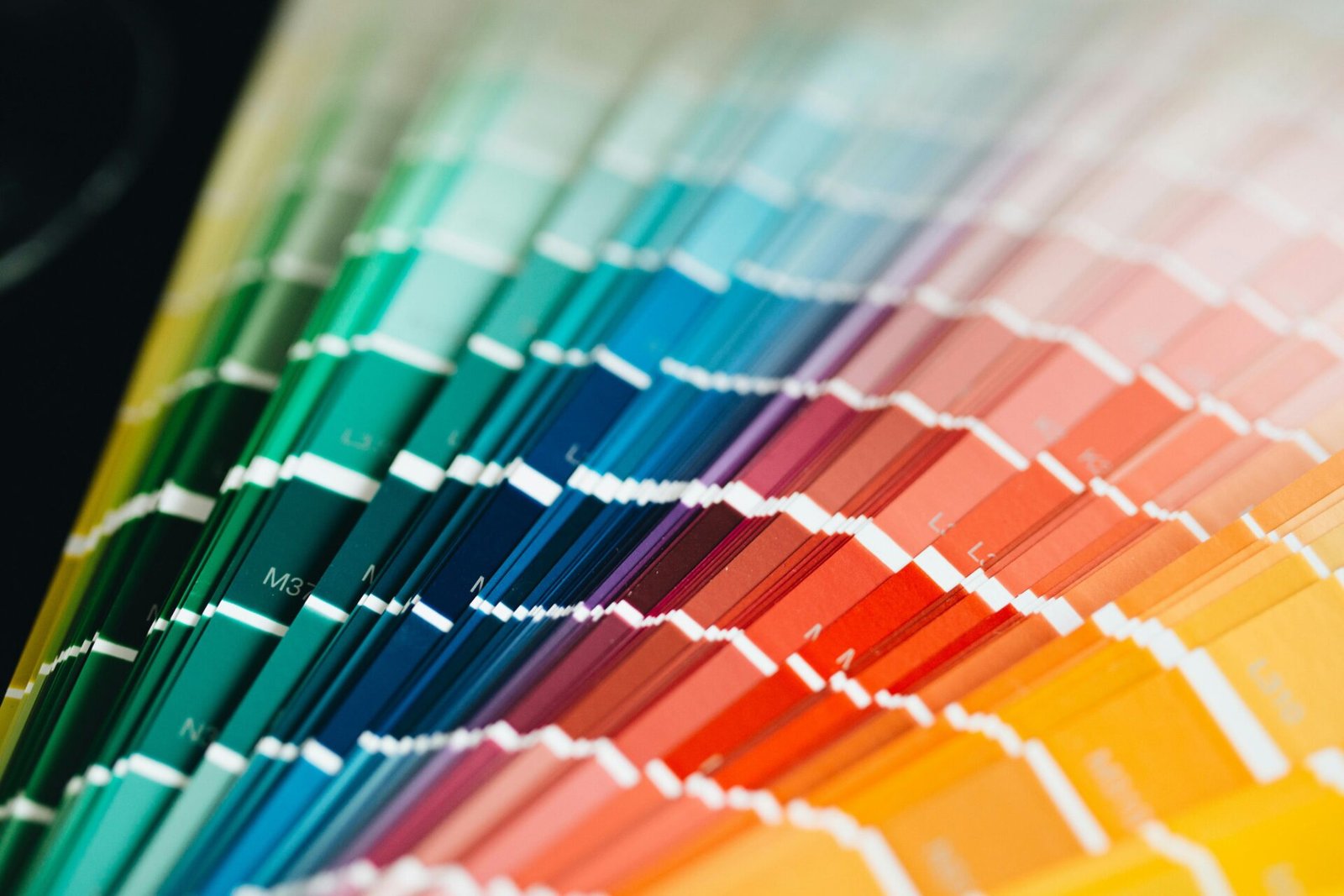Best interior paint colors Jacksonville living room with warm greige walls